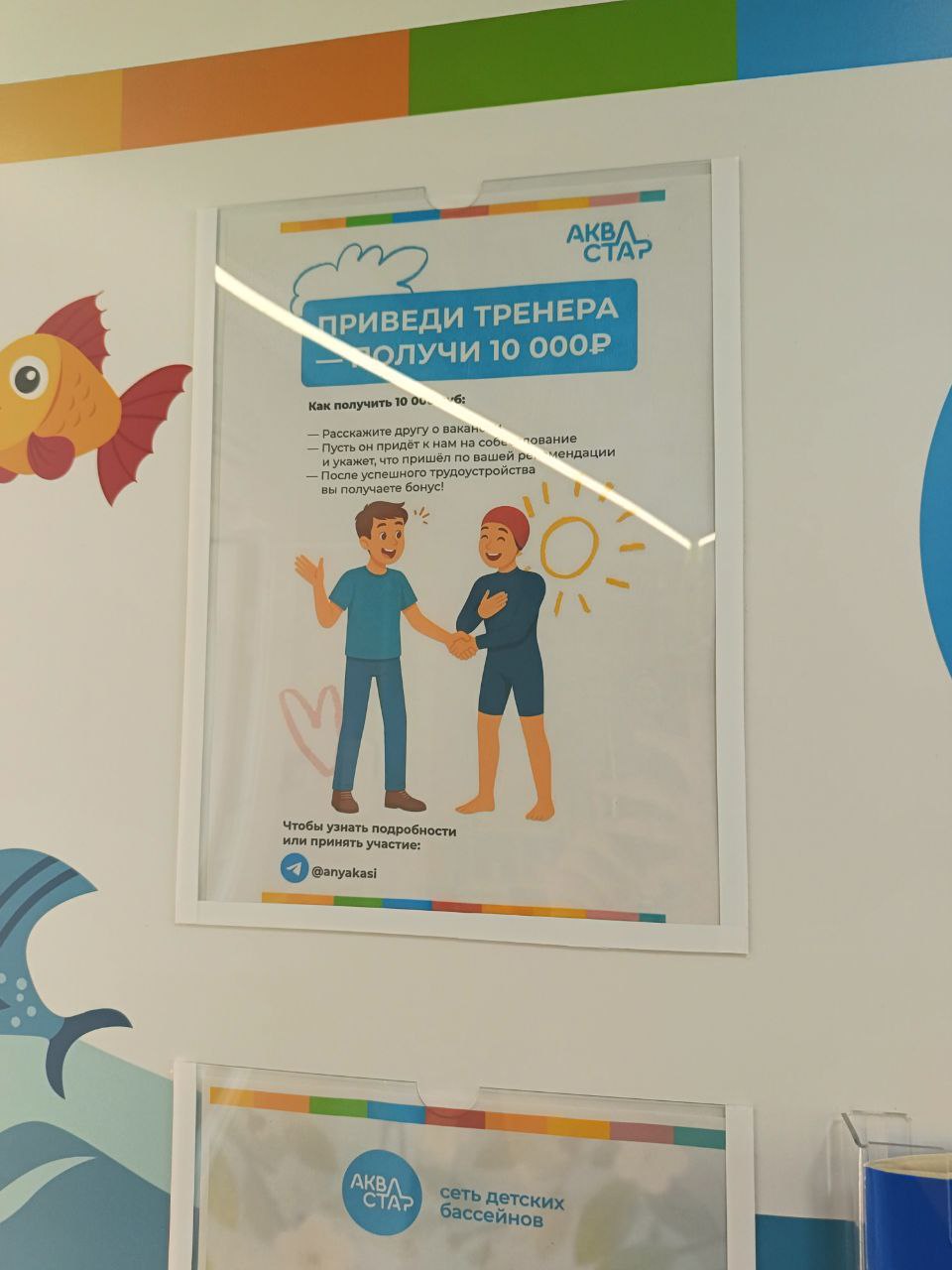 приведи тренера